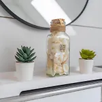 Comfy Apartamento